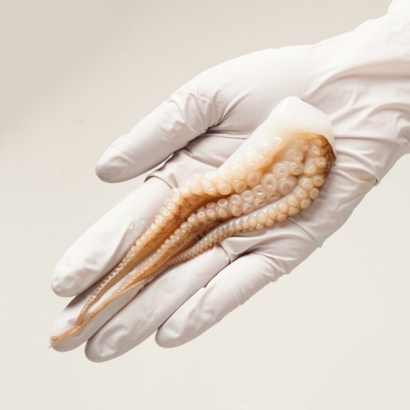 우주푸드빌몰 ,교동낙지 450gx2팩 캠핑요리 간편식 밀키트 간편조리 저녁 메뉴 덮밥  낙지볶음